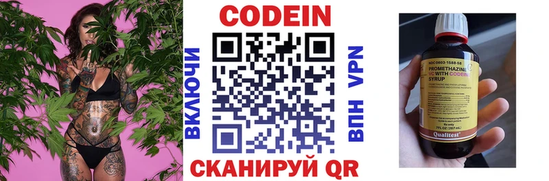 Купить где  Зеленогорск  Кодеин Purple Drank 