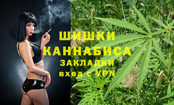 дживик Нея