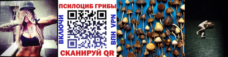 Купить где  Зеленогорск  Псилоцибиновые грибы Magic Shrooms 